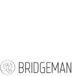 web-bridgeman